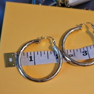 Elegant Silver Hoop Earrings